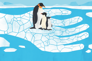 illustration by Mitch Blunt